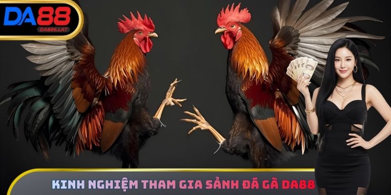 Kinh nghiệm tham gia sảnh Đá Gà DA88