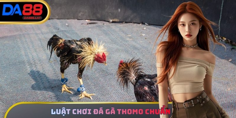 Luật thi đấu đá gà Thomo