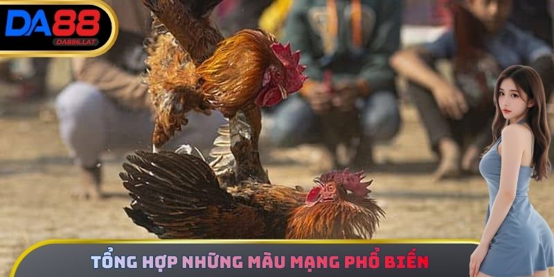 Tổng hợp những màu mạng đá gà thường hay xuất hiện