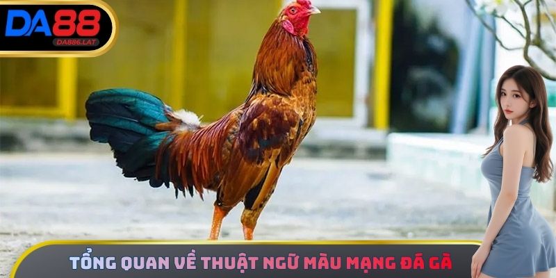 Tìm hiểu tổng quan về thuật ngữ màu mạng đá gà